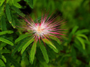 %_tempFileName03-20090503-0206%