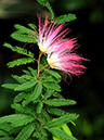 %_tempFileName04-20100313-0230%