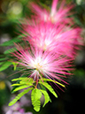 %_tempFileName07-20110423-0221%