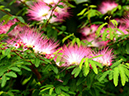 %_tempFileName08-20130420-0244%