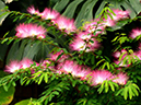 %_tempFileName09-20130420-0246%