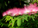 %_tempFileName10-20130420-0247%