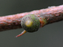 %_tempFileName03-20080308-0175%