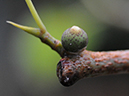 %_tempFileName04-20080308-0177%