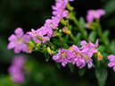 %_tempFileName01-20090503-0274%