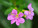 %_tempFileName02-20090503-0275%