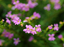 %_tempFileName03-20090628-0255%