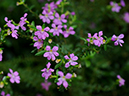 %_tempFileName07-20100214-0252%