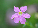 %_tempFileName10-20111218-0440%