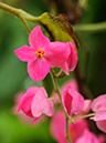 %_tempFileName02-20090503-0264%