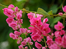 %_tempFileName03-20090506-0204%