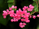 %_tempFileName04-20091025-0141%