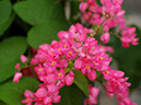 %_tempFileName05-20091025-0142%