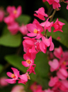 %_tempFileName06-20091025-0143%