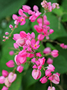%_tempFileName07-20091108-0159%