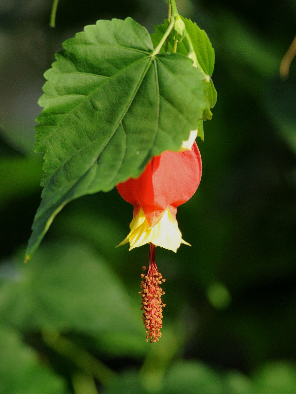 %_tempFileName06-20120204-0091%