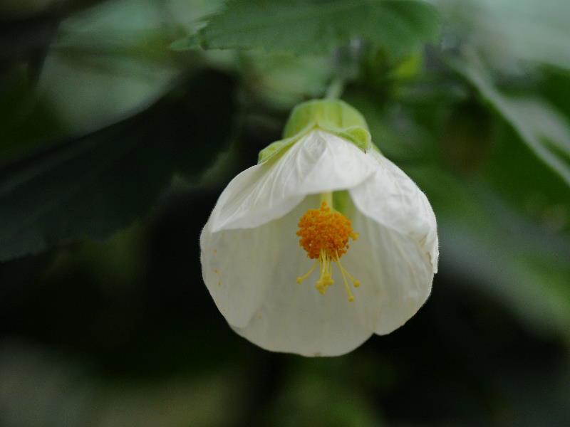 %_tempFileName09-20100306-0204%