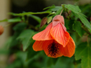 %_tempFileName01-20060218-0621%