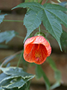 %_tempFileName02-20060312-0300%