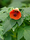 %_tempFileName03-20070127-0380%