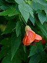 %_tempFileName04-20070203-0351%