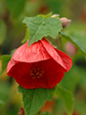 %_tempFileName05-20071014-0152%