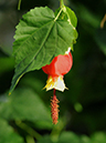 %_tempFileName06-20120204-0091%