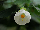 %_tempFileName09-20100306-0204%