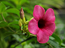 %_tempFileName01-20091025-0179%
