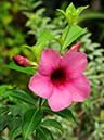 %_tempFileName02-20091025-0180%