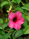 %_tempFileName03-20091025-0181%