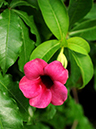 %_tempFileName05-20091122-0245%