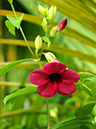 %_tempFileName06-20091122-0247%