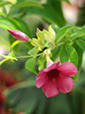 %_tempFileName09-20100509-0265%