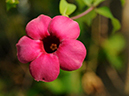 %_tempFileName10-20111010-0141%