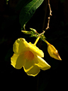 %_tempFileName02-20051009-0207%