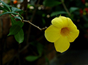 %_tempFileName03-20051113-0200%