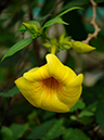%_tempFileName05-20060218-0532%