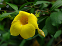 %_tempFileName06-20070923-0090%