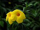%_tempFileName07-20090711-0509%