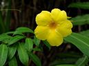 %_tempFileName08-20090802-0251%