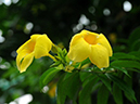 %_tempFileName09-20100704-0253%