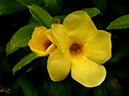 %_tempFileName10-20121008-0242%