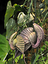 %_tempFileName04-20080209-0246%