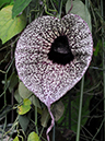 %_tempFileName05-20080216-0210%