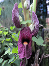 %_tempFileName06-20080320-0190%