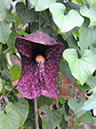 %_tempFileName07-20080330-0222%