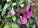 %_tempFileName08-20080330-0223%