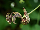 %_tempFileName09-20090506-0222%