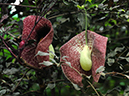 %_tempFileName10-20110423-0275%